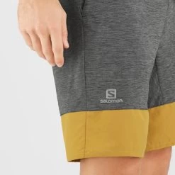 SALOMON XA TRAINING SHORT M BLACK/EBONY/CUMIN 22 9 SALOMON XA TRAINING SHORT M BLACK/EBONY/CUMIN 22 -Ski Equipment Store 9 102525 xa training short m black ebony cumin lc1609900 04