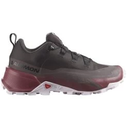 SALOMON CROSS HIKE GORE-TEX 2 W SHALE/WILD GING 23