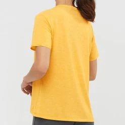 SALOMON ESENTIAL SS TEE W ARROW WOOD 21 5 SALOMON ESENTIAL SS TEE W ARROW WOOD 21 -Ski Equipment Store 9 98356 esential ss tee w arrow wood lc1472200 03